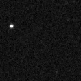 2025sdd_image