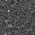 2025sdt_image