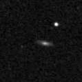 2025sdw_image