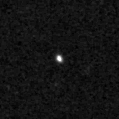 2025see_image