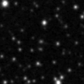 2025sel_image
