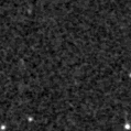 2025sfh_image
