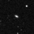 2025sgl_image