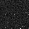 2025sgs_image
