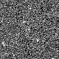 2025sh_image