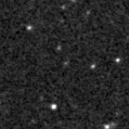 2025shm_image
