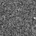 2025sjt_image