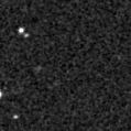 2025sle_image