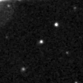 2025slf_image