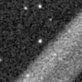 2025spt_image