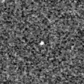 2025sqz_image