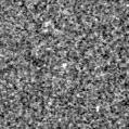 2025sud_image
