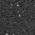 2025suj_image