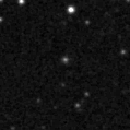 2025suo_image