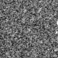 2025suu_image