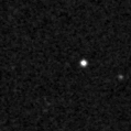2025szt_image