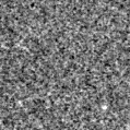2025ted_image