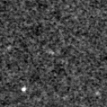2025tfo_image