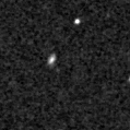 2025tgm_image