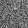 2025tlr_image