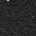 2025tvx_image