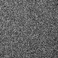 2025twt_image