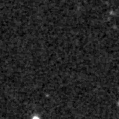 2025tye_image