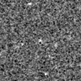 2025vc_image