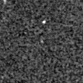 2025vx_image
