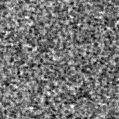 2025wn_image